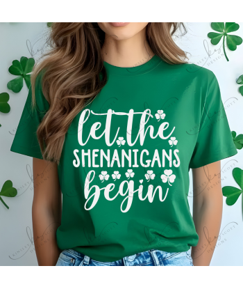 Let The Shenanigans Begin - Adult
