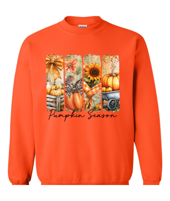 Pumpkin Season Brushstroke - Adult