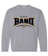 Ahs Band Black - Adult