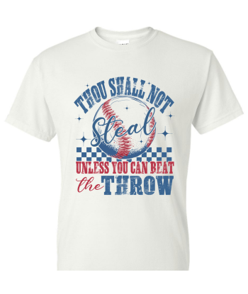 Thou Shall Not Steal Grunge - Adult