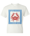 Coastal Crab - Adult