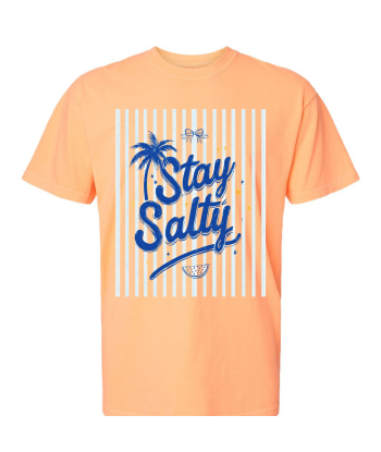 Stay Salty Blue - Adult