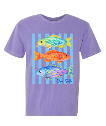 Tropical Fish - Adult