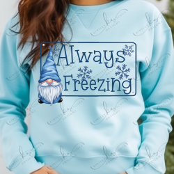 Always Freezing Gnome - Adult